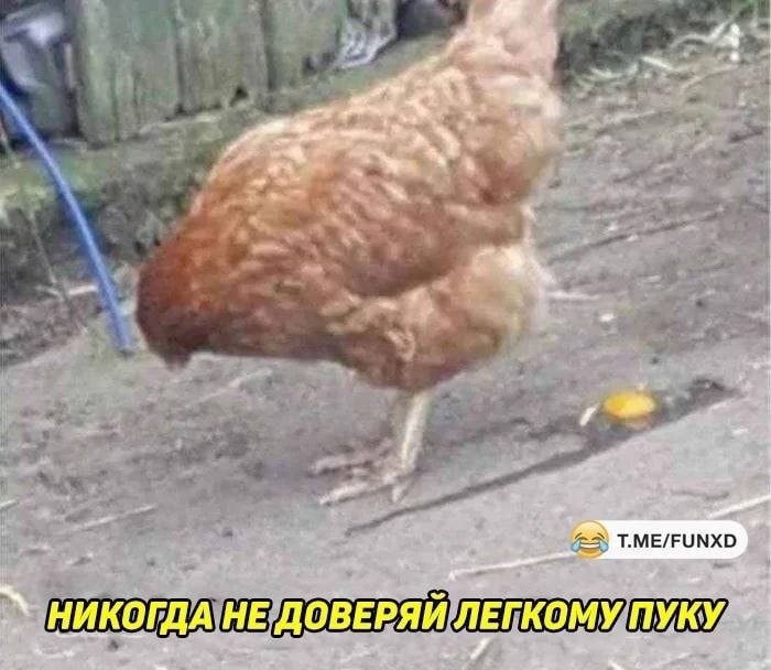 ЕМЕРЦМХП Ы