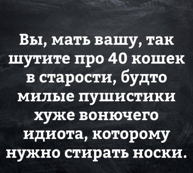 Вы мать вашу так шутите про 40 кошек в старости будто милые пушистики хуже вонючего идиота которому нужно стирать носки