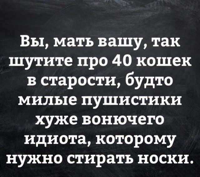 Вы мать вашу так шутите про 40 кошек в старости будто милые пушистики хуже вонючего идиота которому нужно стирать носки