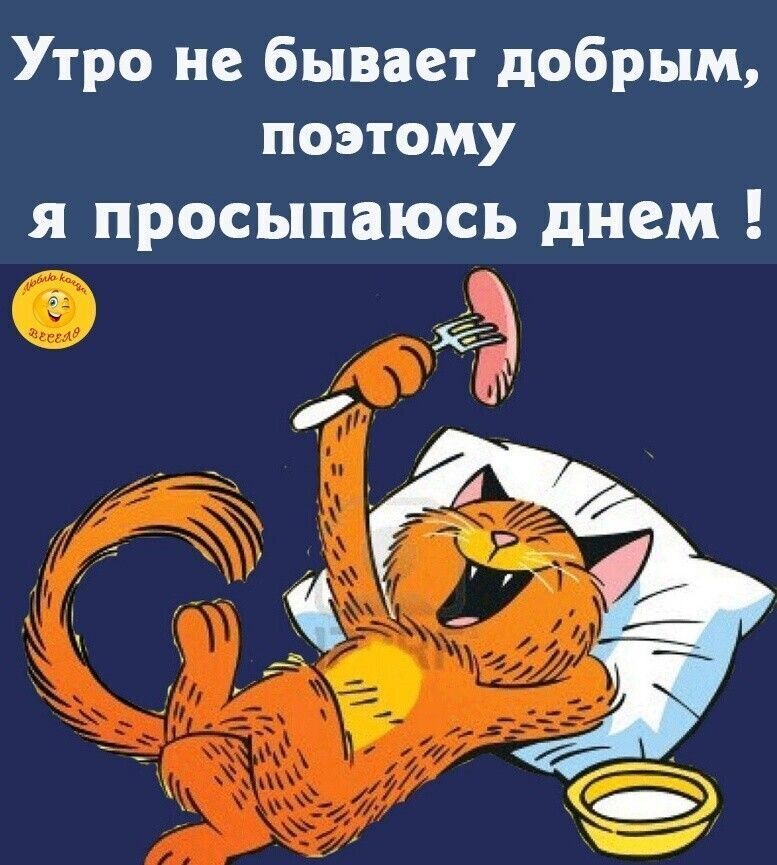 Утро не бывает добрым поэтому я просыпаюсь днем 5