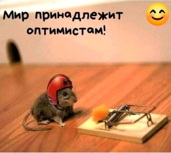 Мир принадлежит 12 оптимистам