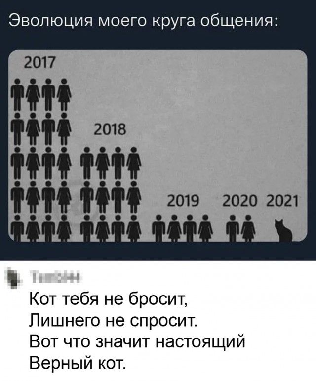 Эволюция моего круга общения Кот тебя не бросит Лишнего не спросит Вот что значит настоящий Верный кот