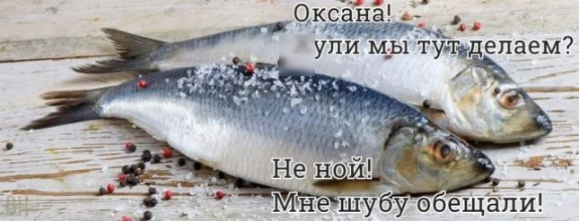 17 д м еш убу обёЩап и