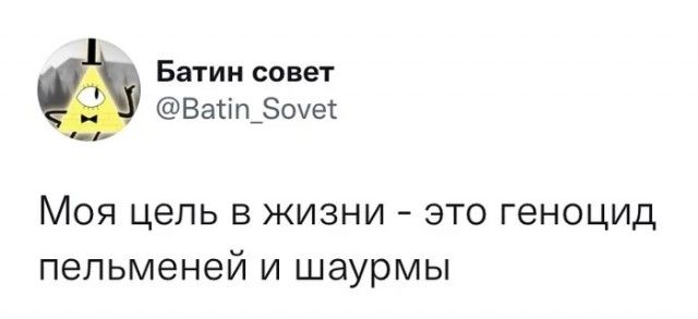 Батин совет Ватішэоует Моя цель в жизни это геноцид пельменей и шаурмы