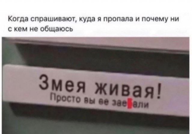 Когда спрашивают куда я пропала и почему ни с кем не общаюсь