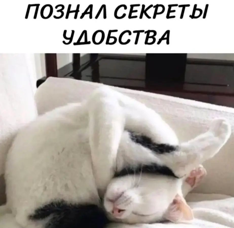 ПОЗНАЛ СЕКРЕТЫ НАОБСТВА 1 А_ о
