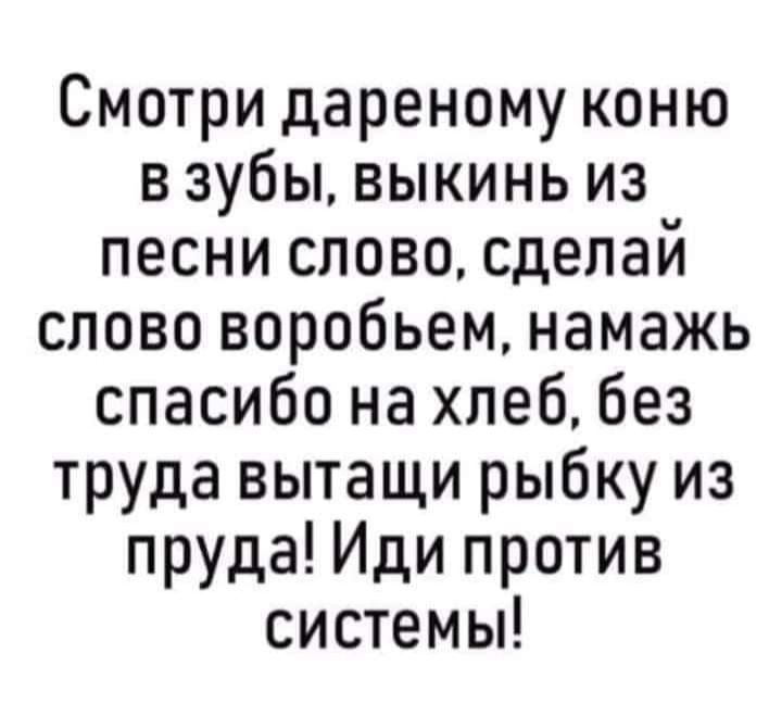 Смотри дареному коню взубы выкинь из песни слово сделай слово воробьем намажь спасибо на хлеб без труда вытащи рыбку из пруда Иди против системы