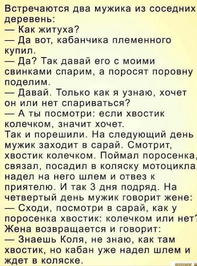 Встречаются два мужика из соседних деревень Как житуха Да вот кабанчика племенного купил Да Так давай его с моими свинками спарим а поросят поровну поделим Давай Только как я узнаю хочет он или нет спариваться А ты посмотри если хвостик колечком значит хочет Так и порешили На следующий день мужик заходит в сарай Смотрит хвостик колечком Поймал поросенка связал посадил в коляску мотоцикла надел на 