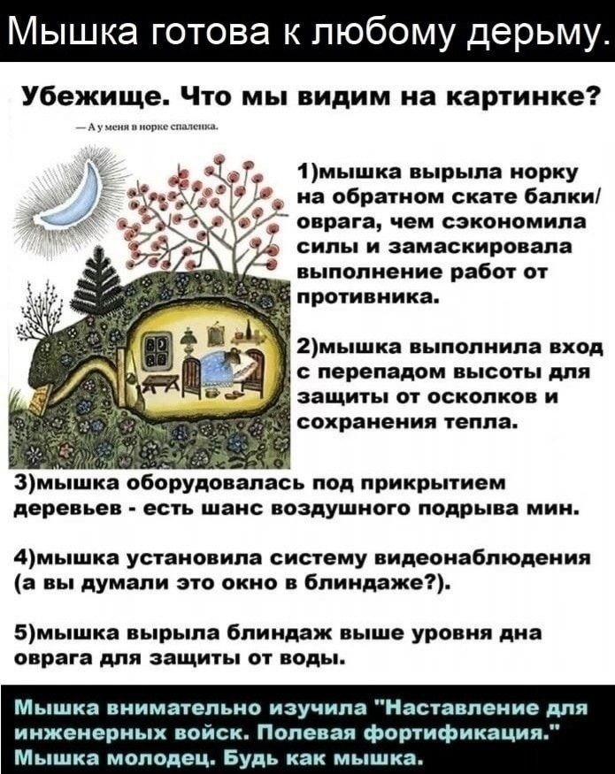 Мышка готова к любому дерьму Убежище Что мы видим на картинке _ мщм 1мышка вырыпа норку _ на обратном скате балки оврага чем сэкономила СИЛЫ И ЗВМЗСКИРОВЁПВ выполнение работ от противника 2мышка выполнила вход перепадом высоты для защиты от осколков и сохранения тепла 3мышка оборудовались под прикрытием деревьев ЕСТЬ шанс ВОЗДУШНОГО подрыва МИН 4мышка установила систему видеонаблюдения а вы думали