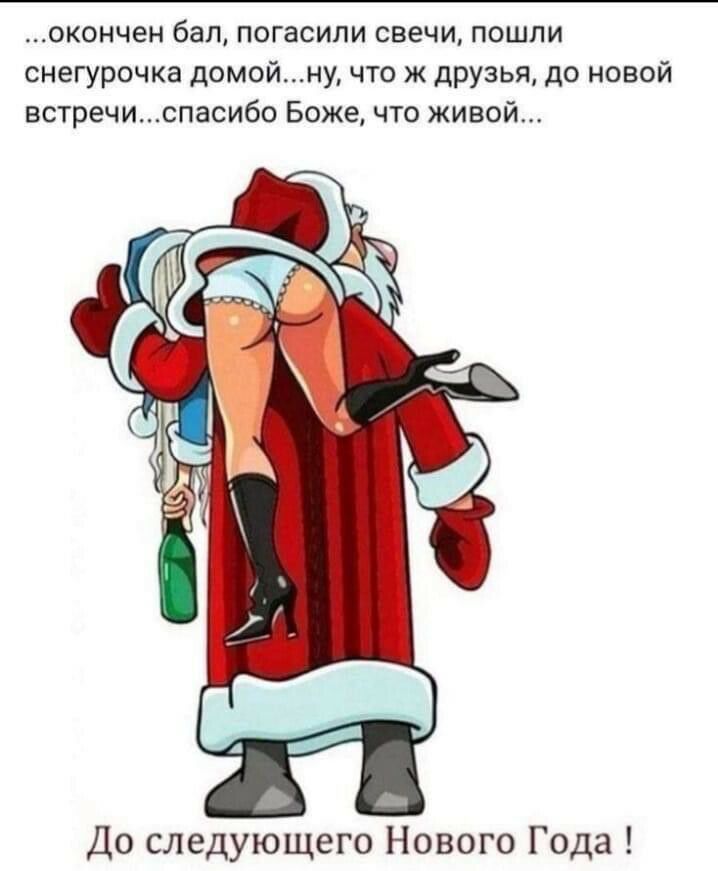 окончен бал погасили свечи пошли снегурочка домойну что ж друзья до новой встречиспасибо Боже что живой До следующего Нового Года