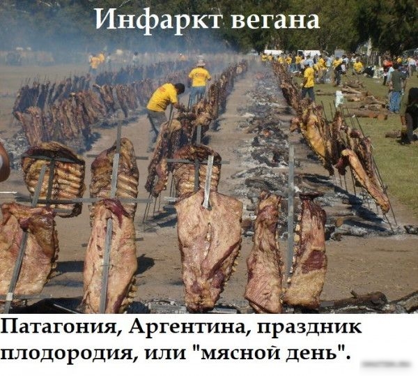 Инфаркт вегана