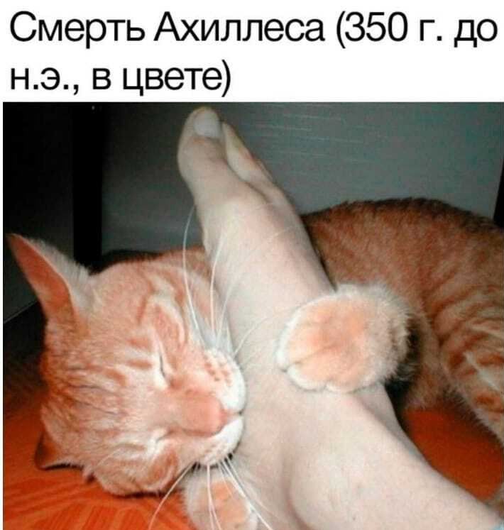 Смерть Ахиллеса 350 г до нэ в цвете