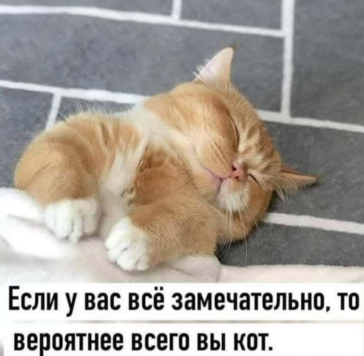 ЕСЛИ у ВВС ВСЁ ЗЗМЕЧЗТЕЛЬНО ТО ВЕ ОЯТНЕЕ ВСЕГО ВЫ КОТ