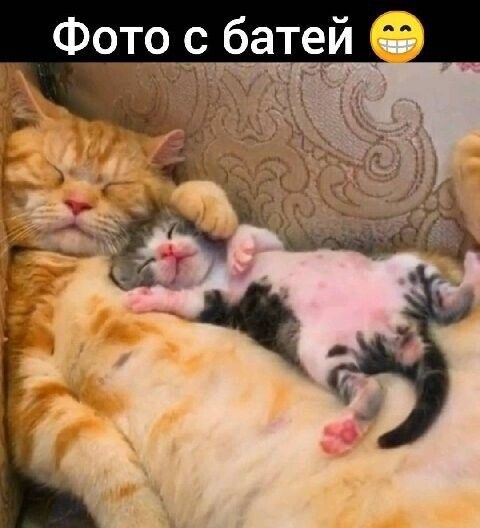 Фртос батей
