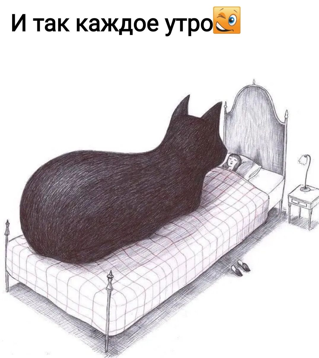 И так каждое утроп