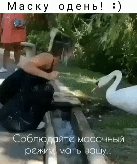 Маску одень обпю Ёмбсочный реж мон ьыь