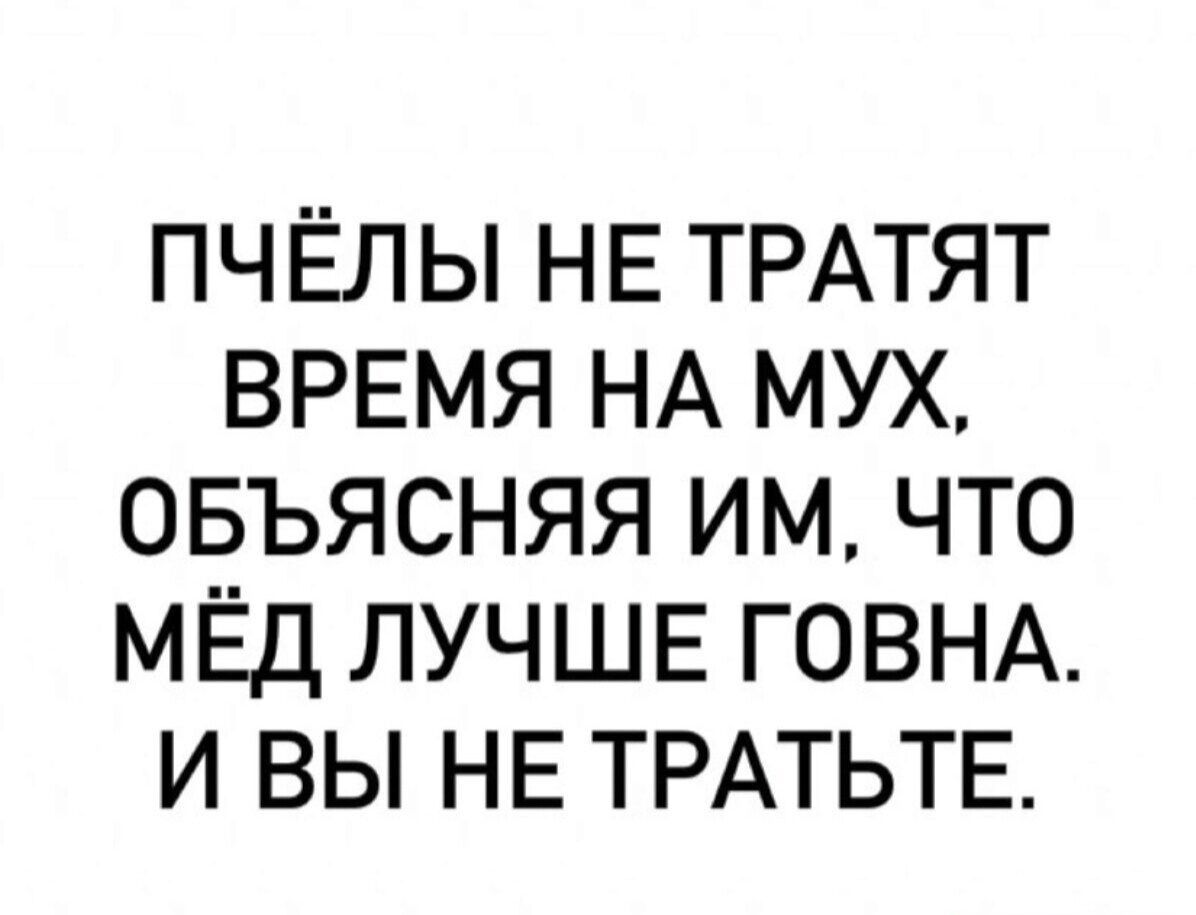 пчЕлы НЕ ТРАТЯТ ВРЕМЯ НА мух овъясняя им что МЁД ЛУЧШЕ ГОВНА и вы НЕ ТРАТЬТЕ