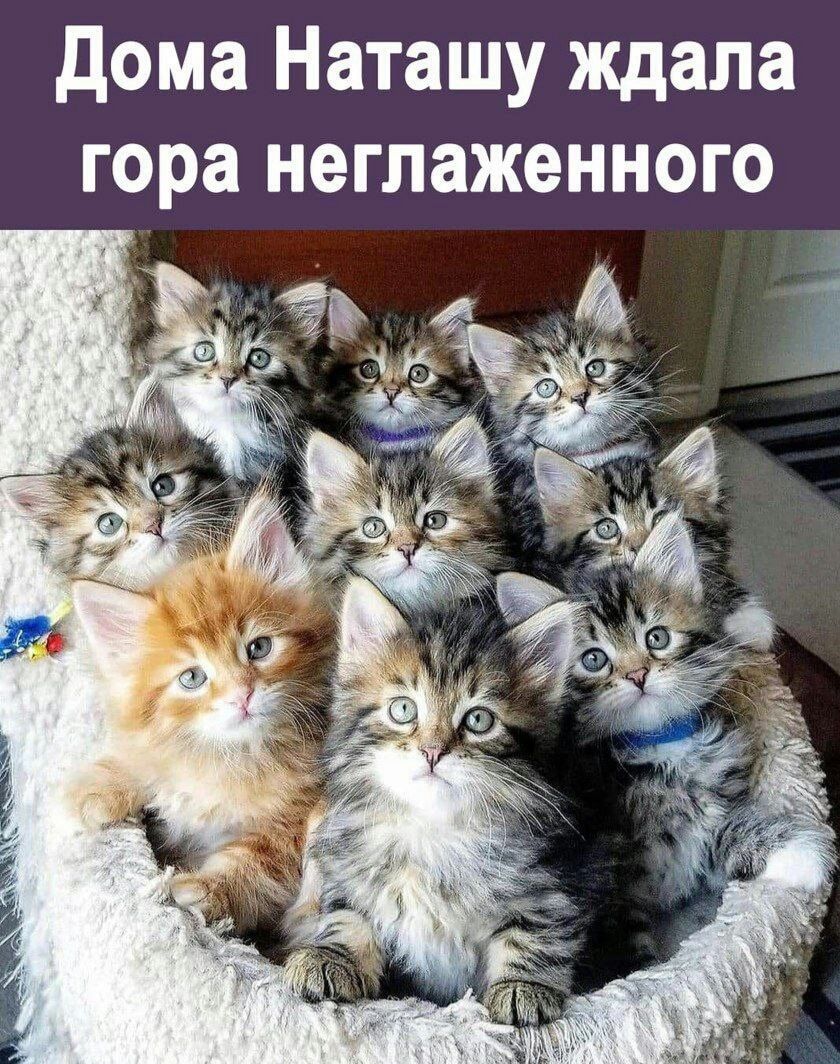 дома Наташу ждала гора неглаженного і