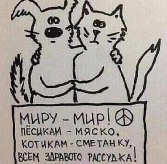 миру _ мир ПЕСЦКАИ МЯСКО КОТ КАМ СМЕТАН КУ всем ЗАРАБОТО жсшкд