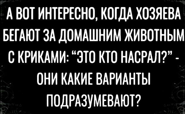 А ВОТ ИНТЕРЕСНО КОГДА ХОЗЯЕВА БЕГАЮТ ЗА ДОМАШНИМ ЖИВОТНЫМ С КРИКАМИ ЭТО КТО НАСРАЛ ОНИ КАКИЕ ВАРИАНТЫ ПОДРАЗУМЕВАЮТ