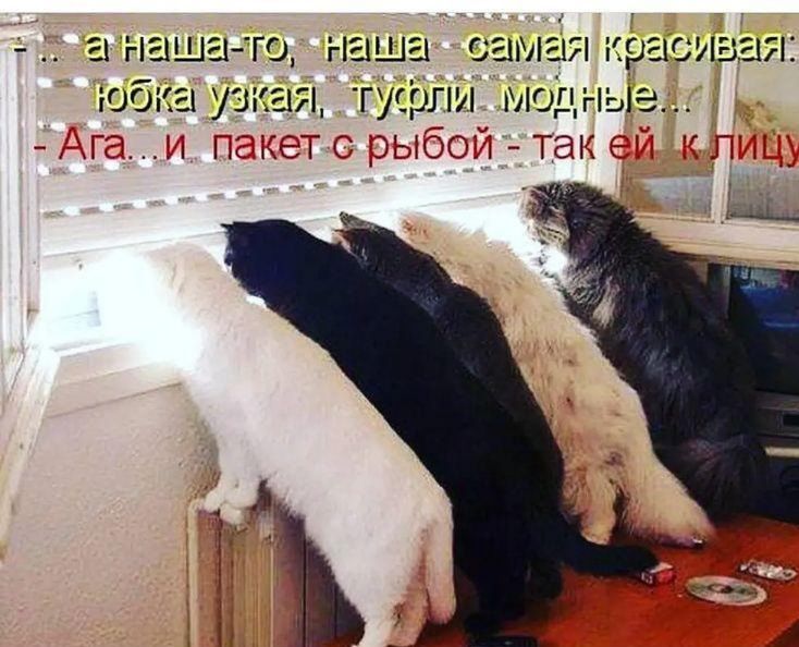 анашато наша самая красивая юбка узкая туфли модные А1а_ъі гъгкеТс рыбой Та 9 или