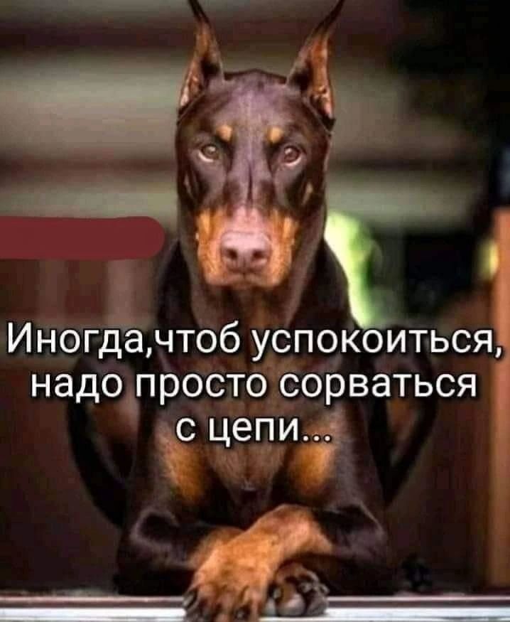 _ г Иногда чтоб успокоиться надо просто сорваться цепи 1