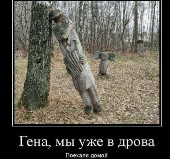 Гена мы уже в дрова Поехали домой