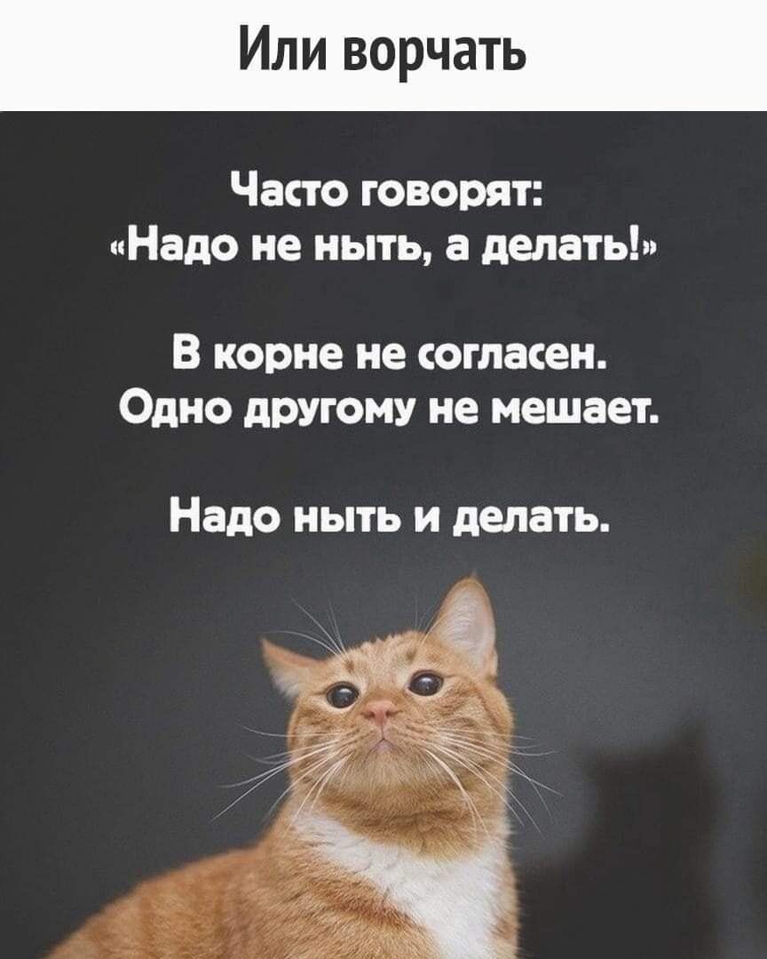 Или ворчать Часто говорят Надо не ныть а делать В корне не огласен Одно другому не мешает Надо НЫТЬ И делать