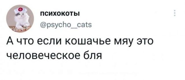 3 д психокоты рэусНо__сатз А ЧТО если кошачье МЯУ ЭТО человеческое бЛЯ