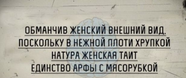 овмннчив женский внешний вид поскольку в нвжной ппоти хрупкой ннтурн жвнскня тнит Единство АРФЫ с мясорувкой