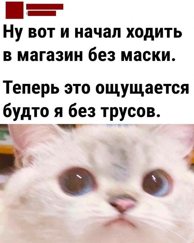 Ш НУ вот и начал ходить в магазин без маски Теперь это ощущается будто я без трусов ЫЙ і л Ф _ ь