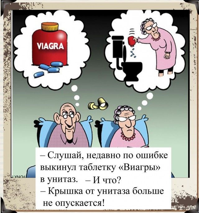 ушай недавно по ошибке выкинул таблетку Виагры еч в унитаз И что Крышка от унитаза больше не опускаетс 1