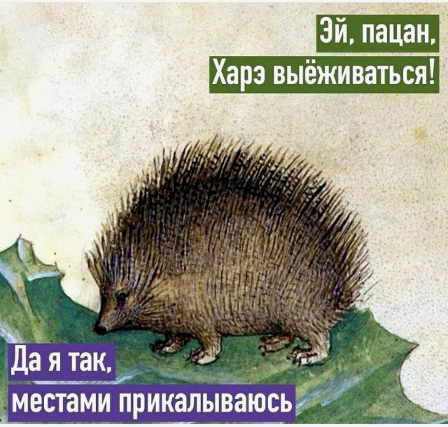Харз выёживаться местамъ иапываюск