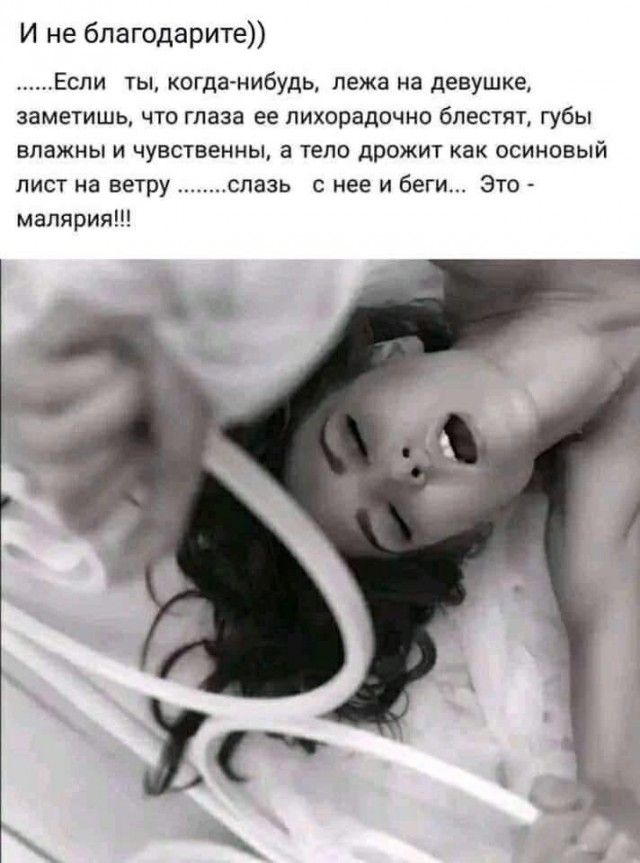 И не благодарите Если кагда нибудь лежа на девушке заметишь что глаза ее лихорадочно блестят губы нпзжиы и чувственны а чело дрожит как осиновый лист на ветру спазь с ее и беги Зто малярия