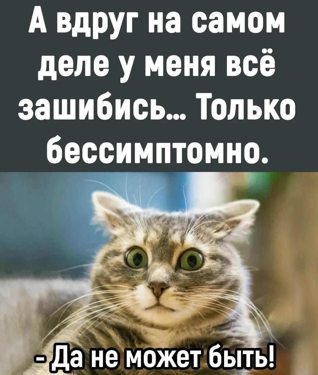 А Вдруг на самом деле у меня всё зашибись Только бессимптомнэ _ Да не может быь