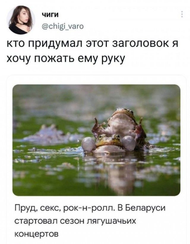 ЧИГИ сЬтЁідато кто придумал этот заголовок я хочу пожать ему руку ПРУд Секс рокйнйропп В Бепаруси стартовал сезон лягушачьих концертов а ш 7