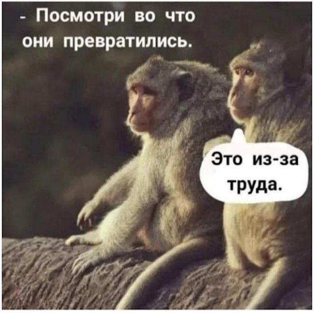 Посмотри во что они превратились Это изза ТРУда