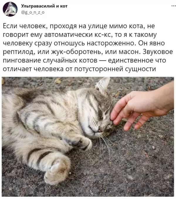 кнопкиМйинт до в Если человек проходя на улице мимо кота не говорит ему автоматически кскс то я к такому человеку сразу стношусь настороженно Он явно рептилод или жук оборотень или масаи Звуковое пинтованне случайных котов единственное что отличает человека от потусторонней сущности