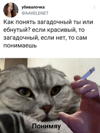 убивалочка ЦЕАЕТ Как понять загадочный ты или ебнутый если красивый то загадочный если нет то сам понимаешь