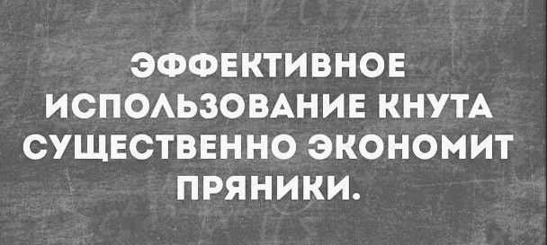 ЭФФЕКТИВНОЕ ИСПОАЬЗО ВАН ИЕ КНУТА СУЩЕСТВЕННО ЭКОНОМИТ ПРЯНИКИ