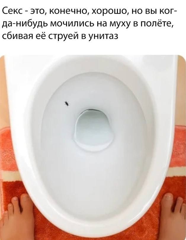 Секс это конечно хорошо но вы ког да нибудь мочились на муху в полёте сбивая её струей в унитаз