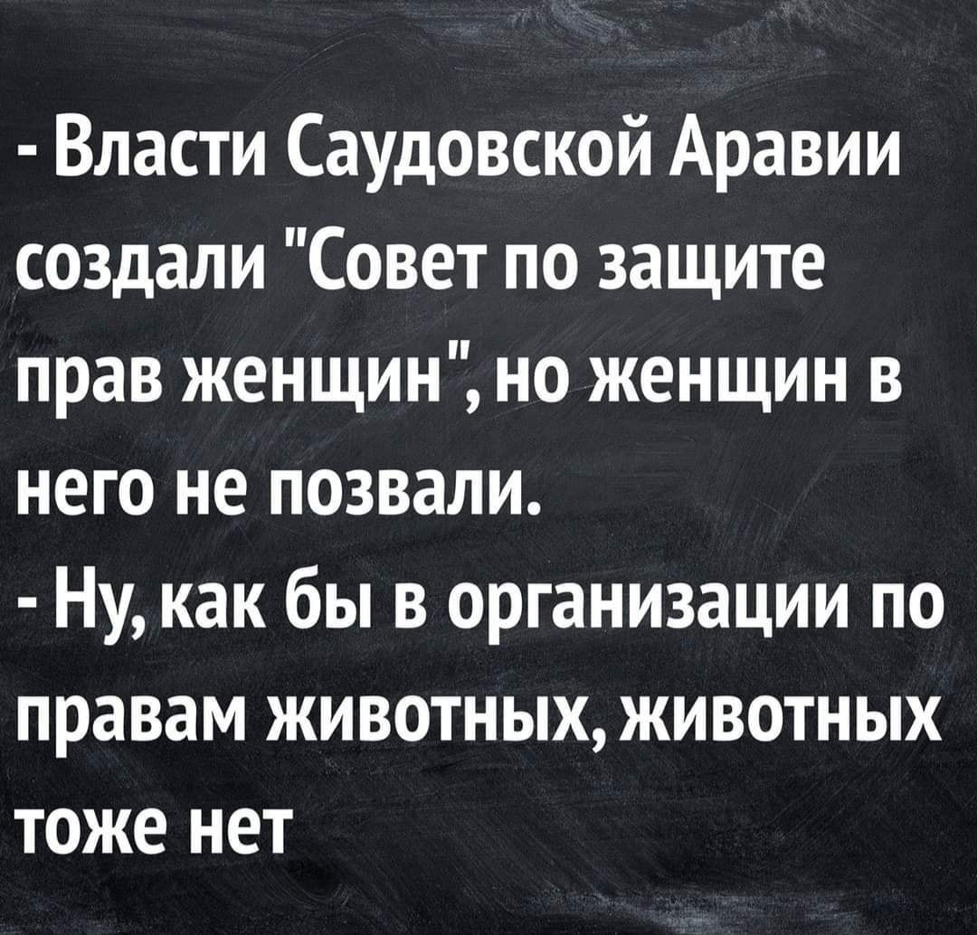 Власти Саудовской Аравии создали Совет по защите прав женщин но женщин в него не позвали Ну как бы в организации по правам животных животных тоже нет