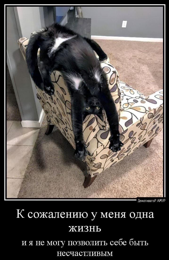 К сожалению у меня одна жизнь и я не могу позволить себе быть несчастливым