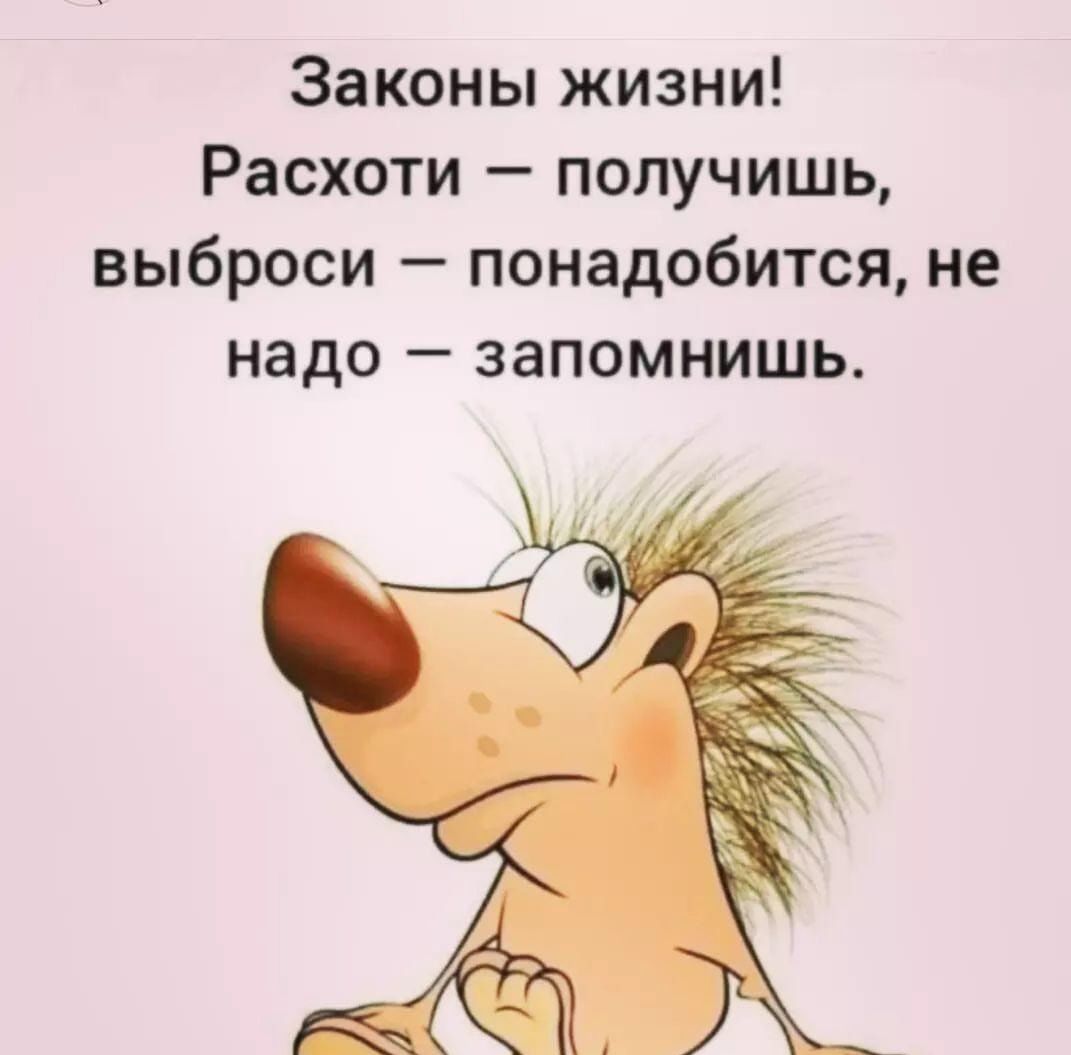 Законы жизни Расхоти получишь выброси понадобится не надо запомнишь