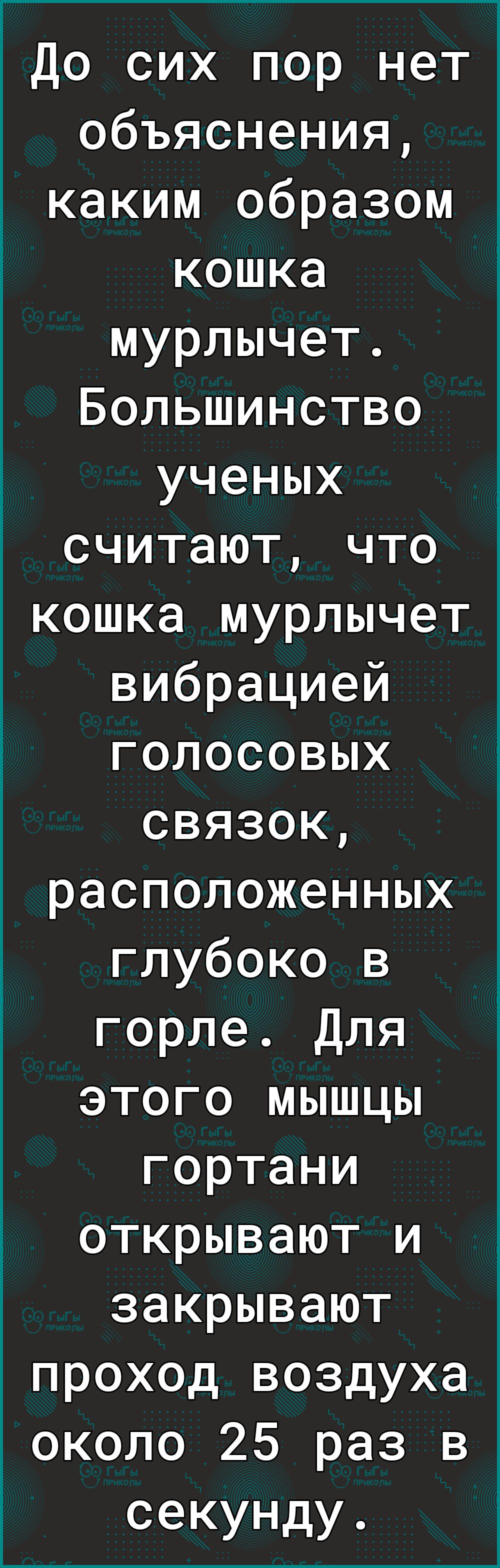 До сих пор нет объяснения каким образом кошка мурлычет Большинство ученых считают что кошка мурлычет вибрацией голосовых связок расположенных глубоко в горле Для этого мышцы гортани открывают и закрывают проход воздуха около 25 раз в секунду