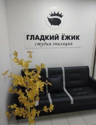 ГЛАДКИЙ Ёжик тут шимин