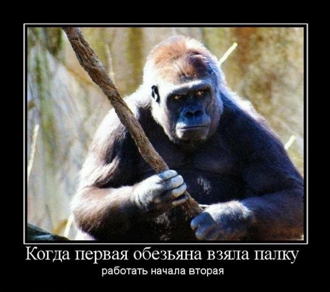 Когда первая обезьяна взяла палку Рнботнть инчцм вторая