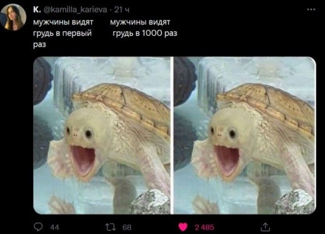 щ мухчииы Мужчины щ тт пеший шул что из рп