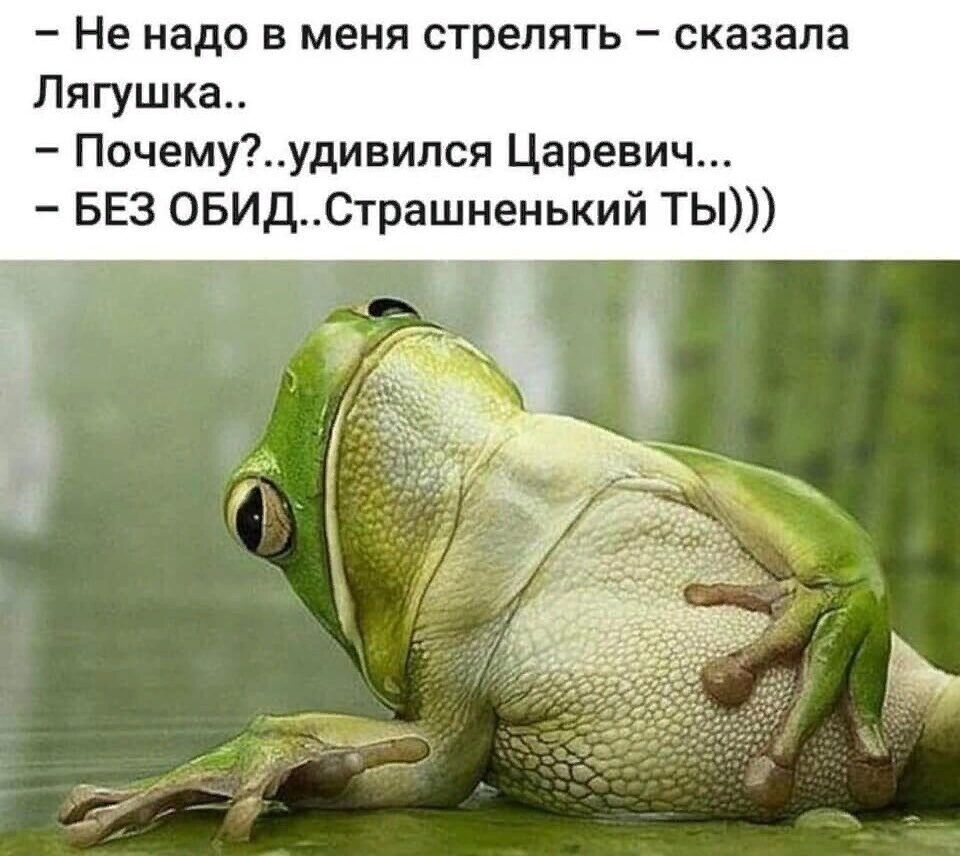 Не надо в меня стрелять сказала Лягушка Почемуудивился Царевич БЕЗ ОБИДСтрашненыий ТЬ