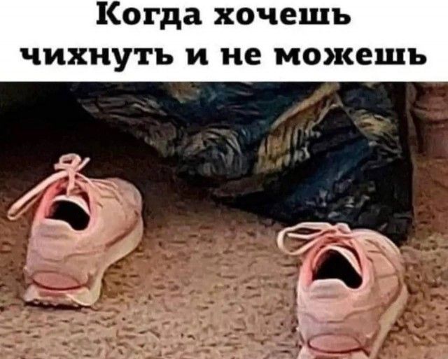 Когда хочешь чихнутъ и не можешь _ т